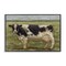Stupell Industries Painterly Cow on Farm Framed Giclee Wall Art Design by Sara G. Designs